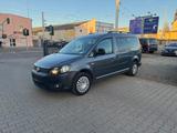 Volkswagen Caddy 2.0 TDI Maxi Kombi 4Motion*7Sitze - Volkswagen Caddy Maxi in Halle