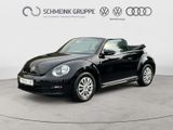 Volkswagen Beetle Cabriolet 1.2 TSI Klima GRA Windschott - : Cabrio, Windschott