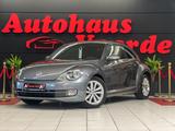 Volkswagen Beetle Lim. Design DSG/LEDER/SHZ/F1/**77.000KM** - Volkswagen Beetle in Duisburg