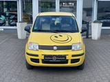 Fiat Panda 1.2 8V MyLive - Fiat Panda: Gelb