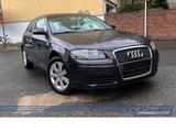 Audi A3 1.6 FSI Ambiente 2Hand*Allwetter*Klima*Metal - Audi A3 aus 2005