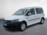 Volkswagen Caddy Trendl. 2.0 TDI Navi AHZV PDC GRA - VW Caddy Gebrauchtwagen in Dresden