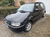 Volkswagen Polo 1.4  - VW Polo mit Schiebetür