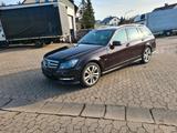Mercedes-Benz Sehr sparsamer und zuverlässiger Mercedes ... - Sparsame mit Diesel-Antrieb
