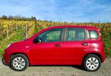 Fiat Panda 1.2 8V Pop - Fiat Panda: Schwarz