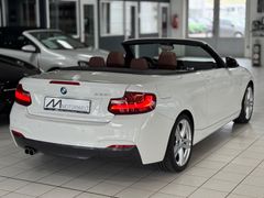 BMW 228 i M Sport Cabrio /DAB/Tempomat/SHZ/Leder BMW 228 i M Sport Cabrio /DAB/Tempomat/SHZ/Leder