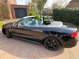 Audi S5 3.0 TFSI S tronic quattro Cabriolet - - mit Benzin-Antrieb: Sitzbelüftung, Cabrio