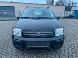 Fiat Panda 1.2 8V Dynamic+KLIMA+TÜV NEU - gebrauchte Fiat Panda aus dem Jahr 2008