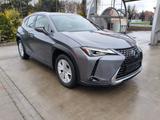 Lexus UX 250 h - Lexus UX SUV