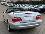Mercedes-Benz CLK 55 AMG CABRIO W208 V8 TÜV NEU - Mercedes-Benz CLK w208