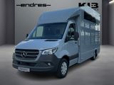 Mercedes-Benz Sprinter 319 CDI Pferdetransporter +SPU.HA+TEMP+