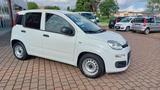 Fiat FIAT Panda 1.3 MJT S&S Pop Van 2 posti Az. Itali - Fiat: It