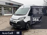 Fiat Ducato 35 L2H2 RüKa Navi CarPlay Allwetter - Fiat Ducato Neuwagen