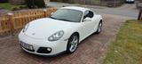 Porsche Cayman 2.9 - - Porsche Cayman mit Benzin-Antrieb: Coupe, Schaltgetriebe