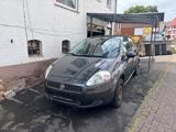 Fiat Punto 1.4 8V Active Active - Fiat Punto in Kassel