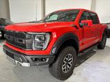 Ford F 150 Raptor*LED*LEDER*PANODACH*AHK* - Ford Raptor: 150
