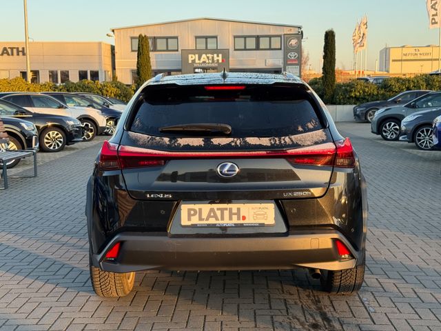Lexus UX 250 h Launch Edition