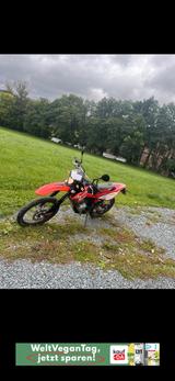 Beta RR 125 LC  - BETA MOTORRAD