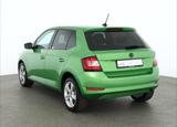 Skoda Fabia 1.0 TSI Klima DAB PDC - Skoda Fabia: Grün