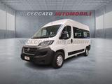 Fiat FIAT Ducato Ducato panorama 33 MH2 2.3 mjt 140cv - Fiat Ducato: 8 Sitzer