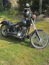 Harley-Davidson Softail Standart, 100 Jahre. - HARLEY-DAVIDSON 2003 SOFTAIL