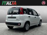 Fiat Panda ICON 1.0 GSE Hybrid - Fiat Panda Neuwagen mit Benzin-Antrieb