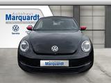 Volkswagen Beetle Cabriolet Club Navi Xenon 18"Sound Kamera - Volkswagen Beetle: Sound