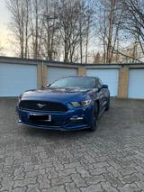 Ford Mustang V6 TÜV/Bremsen/Service NEU - Ford Mustang Gebrauchtwagen in Braunschweig
