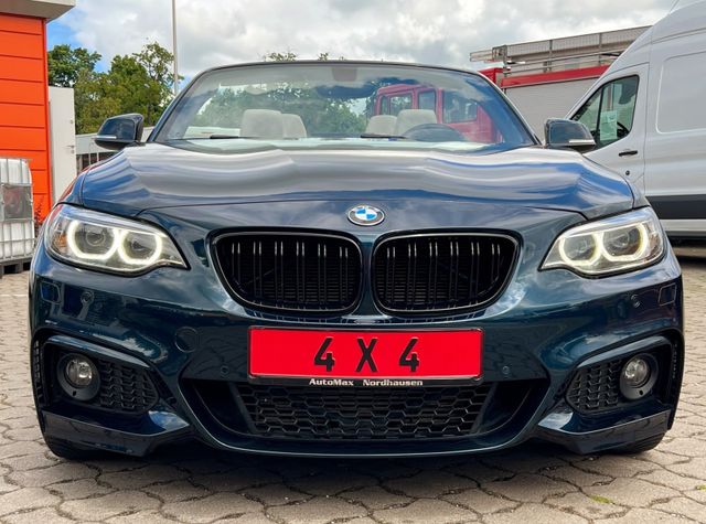 BMW 228i xDrive Cabrio LED Navi Leder PDC Kamera