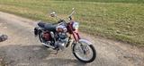 Royal Enfield Classic 500 TÜV neu bis 06/2028 - CHOPPER VON 251 BIS 500 CCM