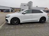 Audi Q8 50 TDI quattro tiptronic Modell 2019  - weiße Audi Q8