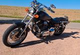 Harley-Davidson FXRS-SP, Low-Rider - HARLEY-DAVIDSON FXR