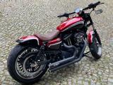 Harley-Davidson Sportstar - HARLEY-DAVIDSON MOTOCROSS DIRT BIKE