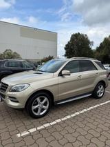 Mercedes-Benz ML 350 BlueTEC 4MATIC - - Mercedes-Benz ML 350 Gebrauchtwagen in Hamburg
