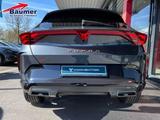 Cupra Formentor 2.0TDI DSG AHK Sennheiser TopView ACC - Cupra Formentor mit Diesel-Antrieb: Geländewagen