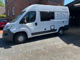 Weinsberg Caratour 541 MQ - Weinsberg Diesel Kastenwagen
