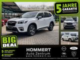 Subaru Forester 2.0ie AWD Platinum *AHK*beh.Lenk*Pano* - Subaru Forester: Platinum