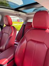 Alfa Romeo Stelvio 2.0 Turbo - Volleder - Alfisti spezial
