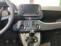 Fiat New Panda - Vorschau Bild 11