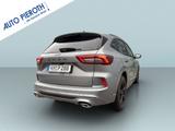 Ford Kuga 1.5 EcoBoost ST-LINE - Ford Kuga Tageszulassungen