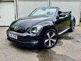 Volkswagen Beetle Cabriolet 1.2 TSI CUP - Volkswagen Beetle in Hannover