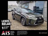 Lexus UX 300h F Sport Design ACC FLA SpurH LM - Lexus UX in Dresden