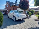 Volkswagen New Beetle 1.6 Cabriolet - - Volkswagen New Beetle aus 2011