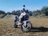 Ducati DesertX - Schwarz oder Weiß - Offers