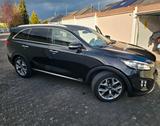 Kia Sorento Platinum Edition 4WD*7-SITZER*360°KAMERA - gebrauchte Kia Sorento aus dem Jahr 2017