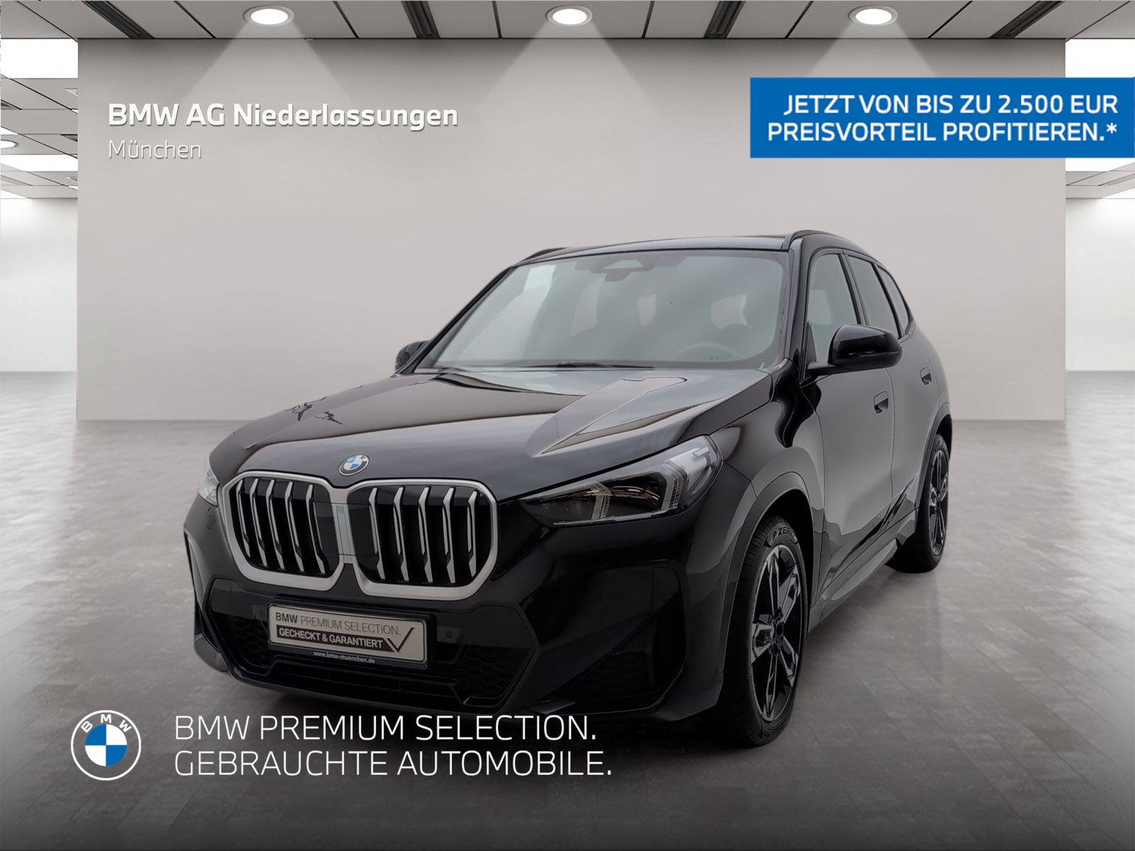 BMW X1 - Bild 1