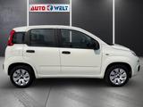 Fiat Panda 1.2 Pop Klimaanlage Bluetooth - Fiat Panda: Weiß