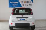 Fiat Panda Sport 1.0 MildHybrid 69PS - Fiat Gebrauchtwagen von 2021