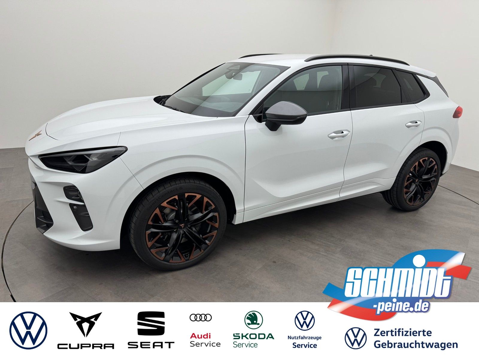 CUPRA Terramar VZ 2.0 TSI DSG 4Drive Digital20SennhAHK
