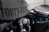 Harley-Davidson SPORTSTER 48 Chrom Flake XL1200X - HOT 1.Hd - HARLEY-DAVIDSON SPORTSTER XL 1200 C